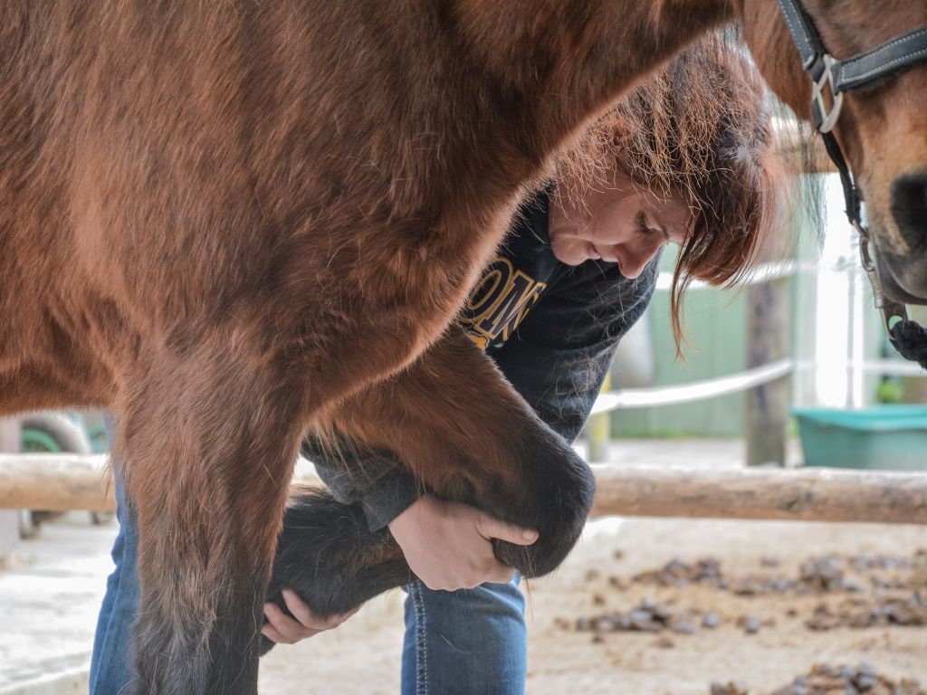 Osteoathiesprechstunde