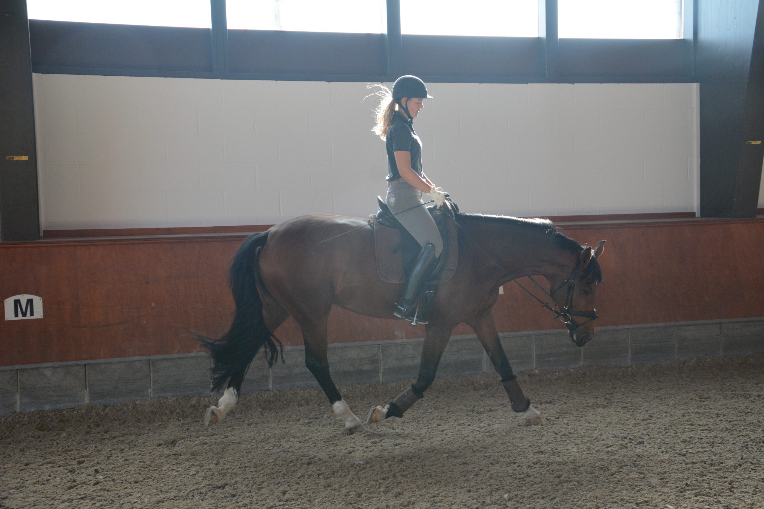 Pferd in Dehnungshaltung, Vorhand nicht frei